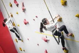 2020 年 MLB 选秀缩减至 5 轮，旨在削减成本